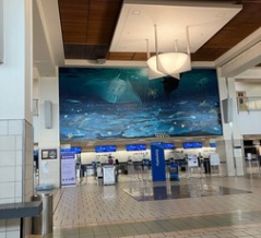 ユナイテッド航空でチェックイン　ｉｎ　グアム♪