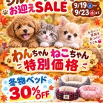 Animal land