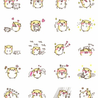 キンクマハムスター飼い方、育て方｜キンクマハムスター入門