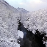 『昨日の吹雪で定山渓はこんなにきれいに！』の画像