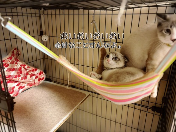 防寒対策はじめました☆冷えは万病のもと。