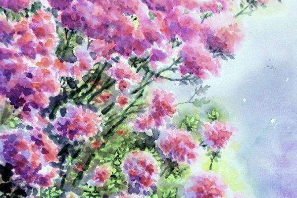 シニアから始めた透明水彩画 - 静物・花