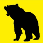 【ヤバイ】冬眠前でクマが活発化・・・餌を求めて降りてくるぞ！