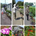 大船高校PTAブログ