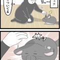 ぽんにとって私の手は…
