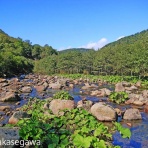 知床と八重山の風景