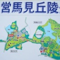 馬見丘陵公園の花菖蒲と紫陽花２０２６