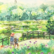 透明水彩画「五月晴れ（菖蒲園）」&アートエッセイ「遠回りの原因に