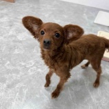 『はぐちゃん、きゃっきゃっ🤩』の画像
