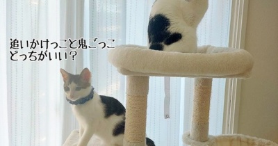 不忍くんのずっとのおウチ