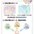 【図解】言葉と文化は重なるのか