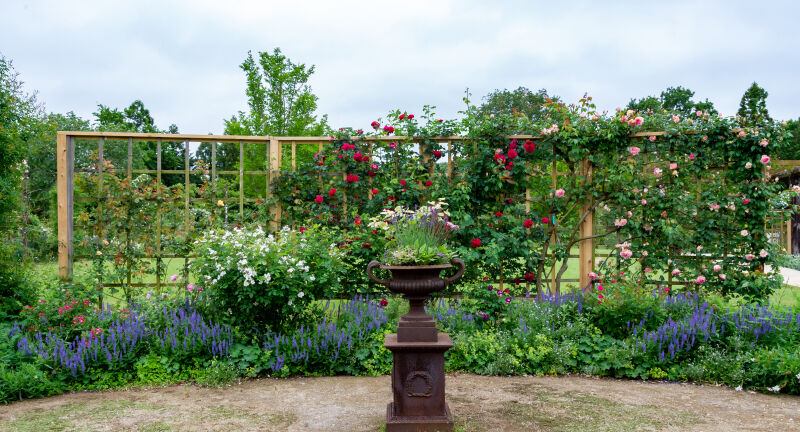 佐倉草ぶえの丘バラ園 ボランティア日誌