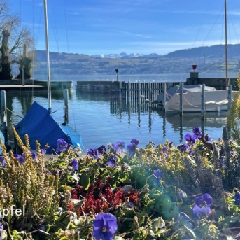 春が待ち遠しい！