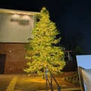 夜ジョグで汗びっちょり