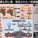 サプリは効いた気がする 飲めば飲むほど体が壊れていく
