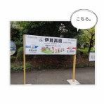なかめのR子、シアトルで駐妻になる。