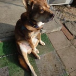 �إХ����κ¤����٤β���