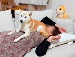 フル稼働の11月、ただ今ひと休み中