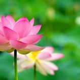 『行きたくない』の画像