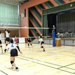 シーガル・バレーボールスクールのblog