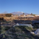 畑作業も終盤戦