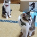 恵利原の水穴