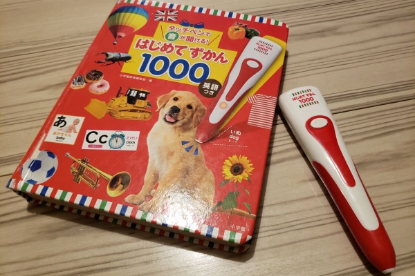 こまてぃの徒然なるままに 3歳差姉妹の子育て日記 幼児教育