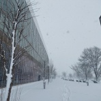 日新運輸株式会社　社長ブログ