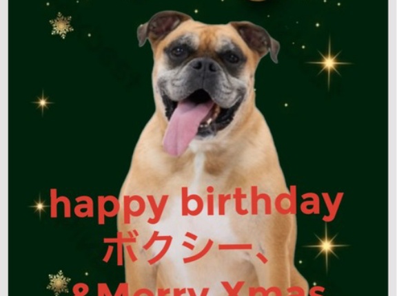 happy birthday &メリークリスマス🎁