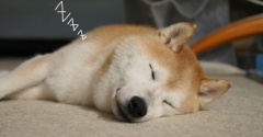 長い夜…