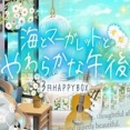 〈HappyBox〉海とマーガレットとやわらかな午後