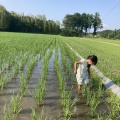 今年の田んぼのこと🌱 記録