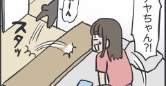 オナラで呼ばれた猫
