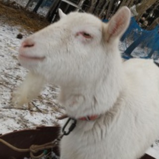 へんおじの闘病記