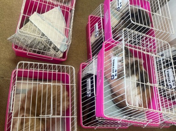 今日もめちゃ忙しくなって居ます😱💦