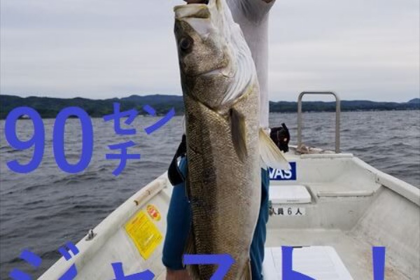 宍道湖 中海 ボートシーバス ガイド船 たたら丸 年06月