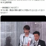 鳶の羽