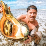 『オーストラリアの海岸で生き物の巣をほじくり返すよ』の画像