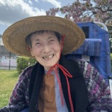 『春の散歩「和田北公園」/花の季苑〔ホーム〕』の画像