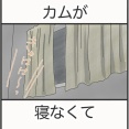 カムが寝なくて