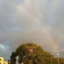 今年ラスト２の精製♪