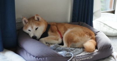 インフル後遺症？？