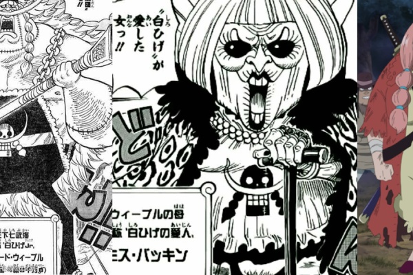 One Piece World 15