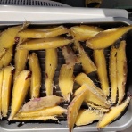 早期＆定年退職したオヤジの投資Blog