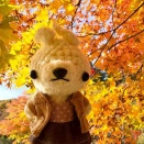 【ぬい撮り】函館市・新中野ダムの紅葉♡