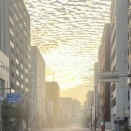 羊雲と朝日が眩しい早朝！