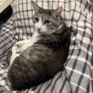 テニスのマナーについて