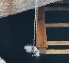「そのロープで大丈夫？」水路で溺れそうな子猫を見事なテクニックで救助する一部始終
