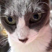 映画「冬のソナタ」を観てきました。