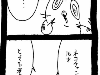 仲直り大作戦〜ﾈｺﾁｬﾝの策略〜46